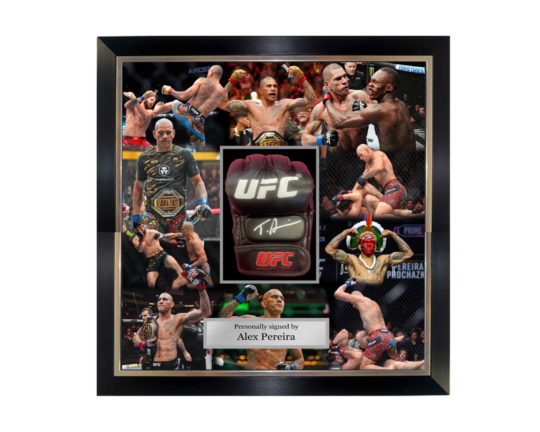 20x20 Photo mural UFC glove frame