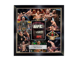20x20 Photo mural UFC glove frame