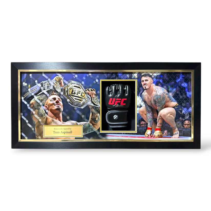 UFC Panoramic Glove display - 2 images_0