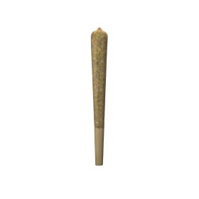 Girl Scout Cookies