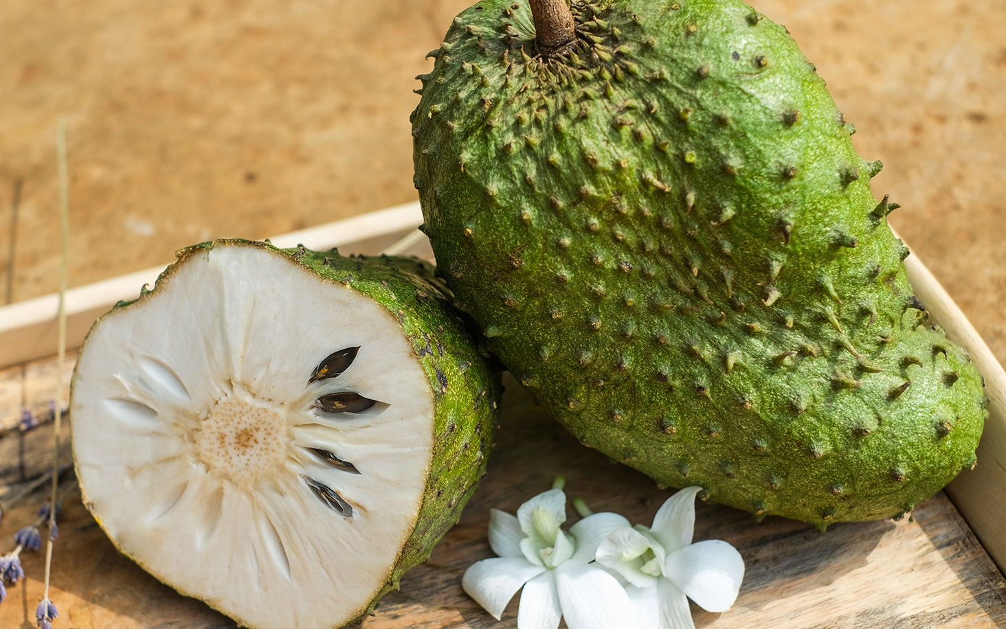 Frozen Fresh Juice - Soursop_0