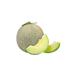 Frozen Fresh Juice - Honeydew