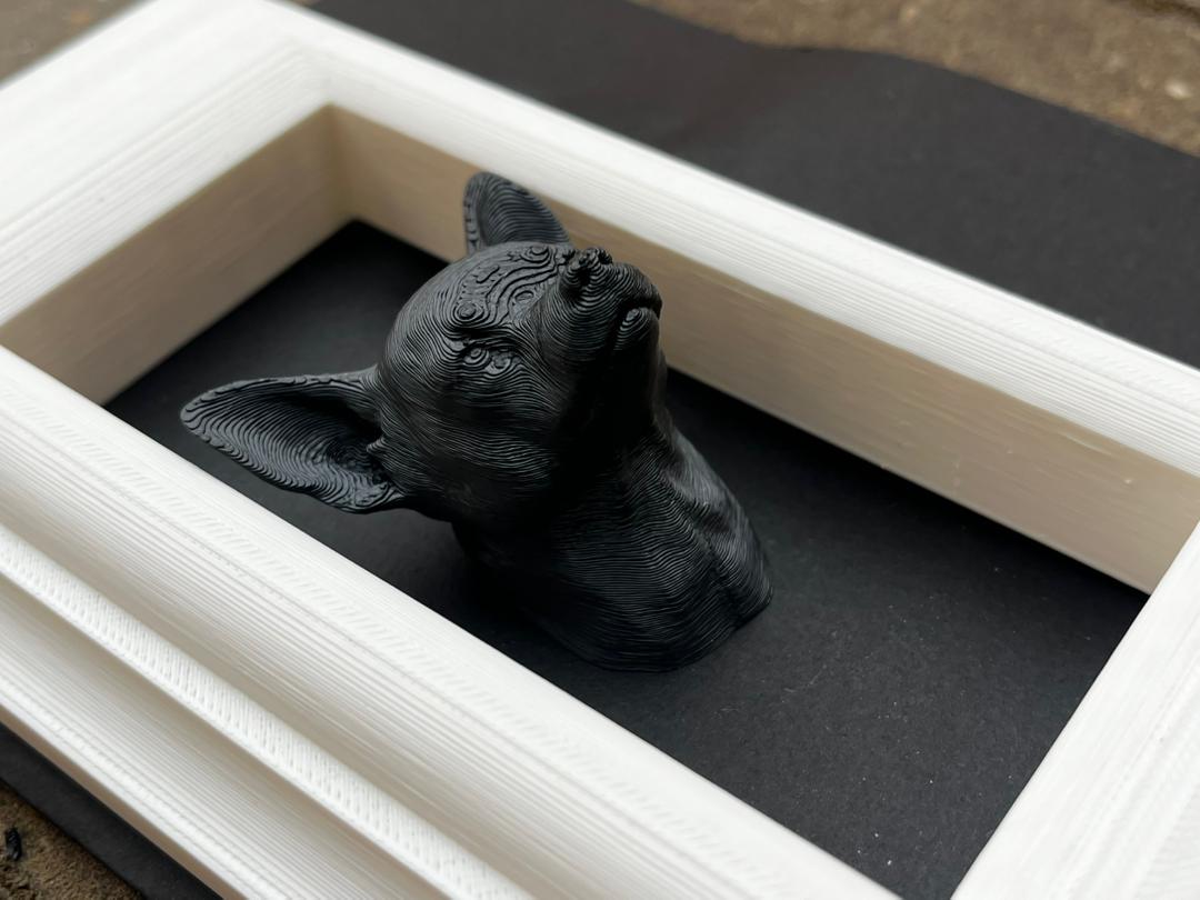Box Frames Animal Chihuahua Bust     _3