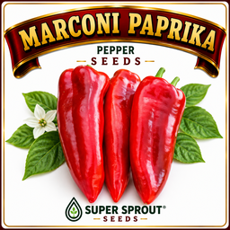 Paprika pepper collection pack x 6