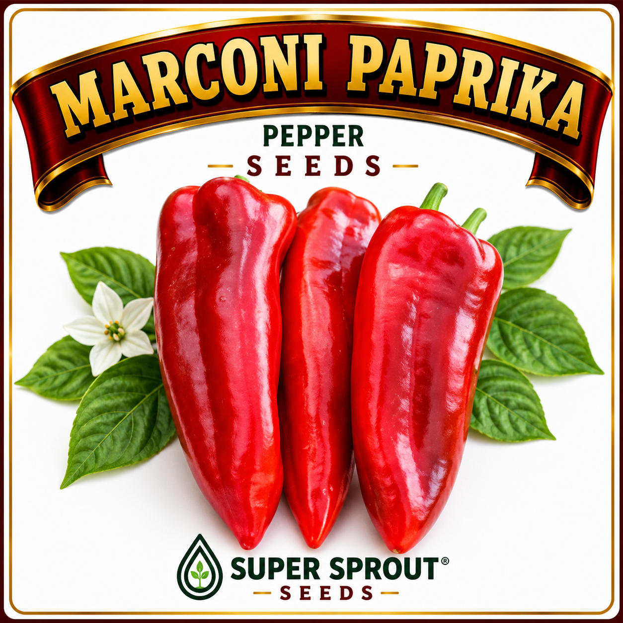 Paprika pepper collection pack x 6_3