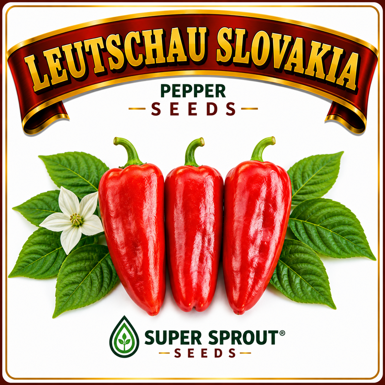 Paprika pepper collection pack x 6_2