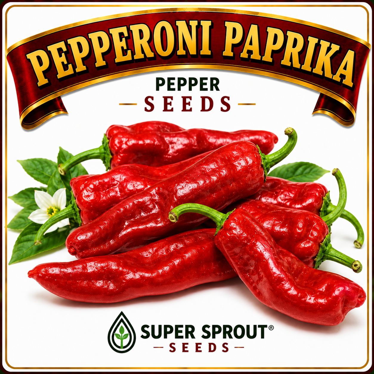 Paprika pepper collection pack x 6_5