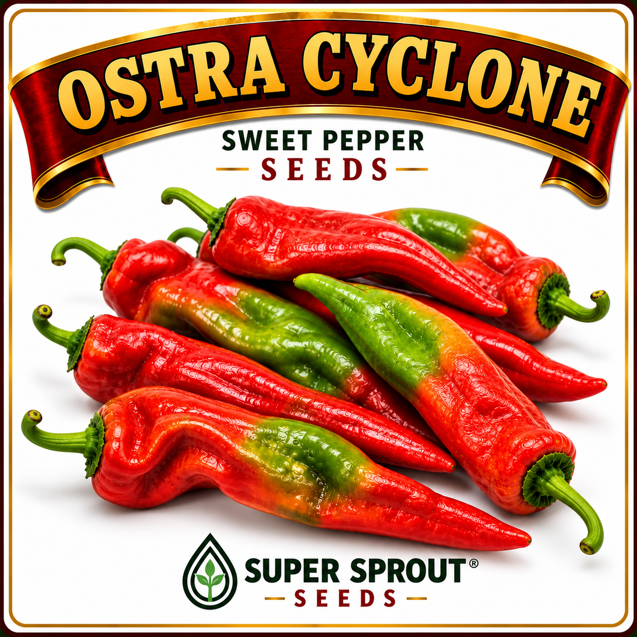 Paprika pepper collection pack x 6_7