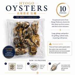 Hyogo Oysters (90-105g) (10 pieces) (Large Size)