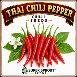 🌶THAI CHILI PEPPER 🌶 x 10+ organic seeds