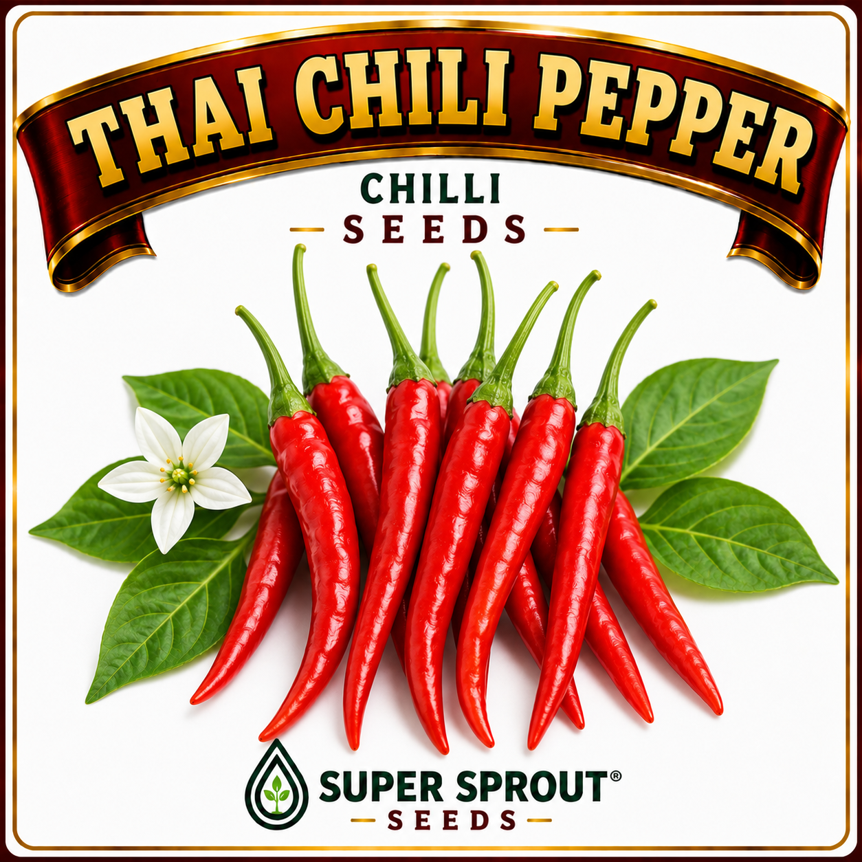 🌶THAI CHILI PEPPER 🌶 x 10+ organic seeds