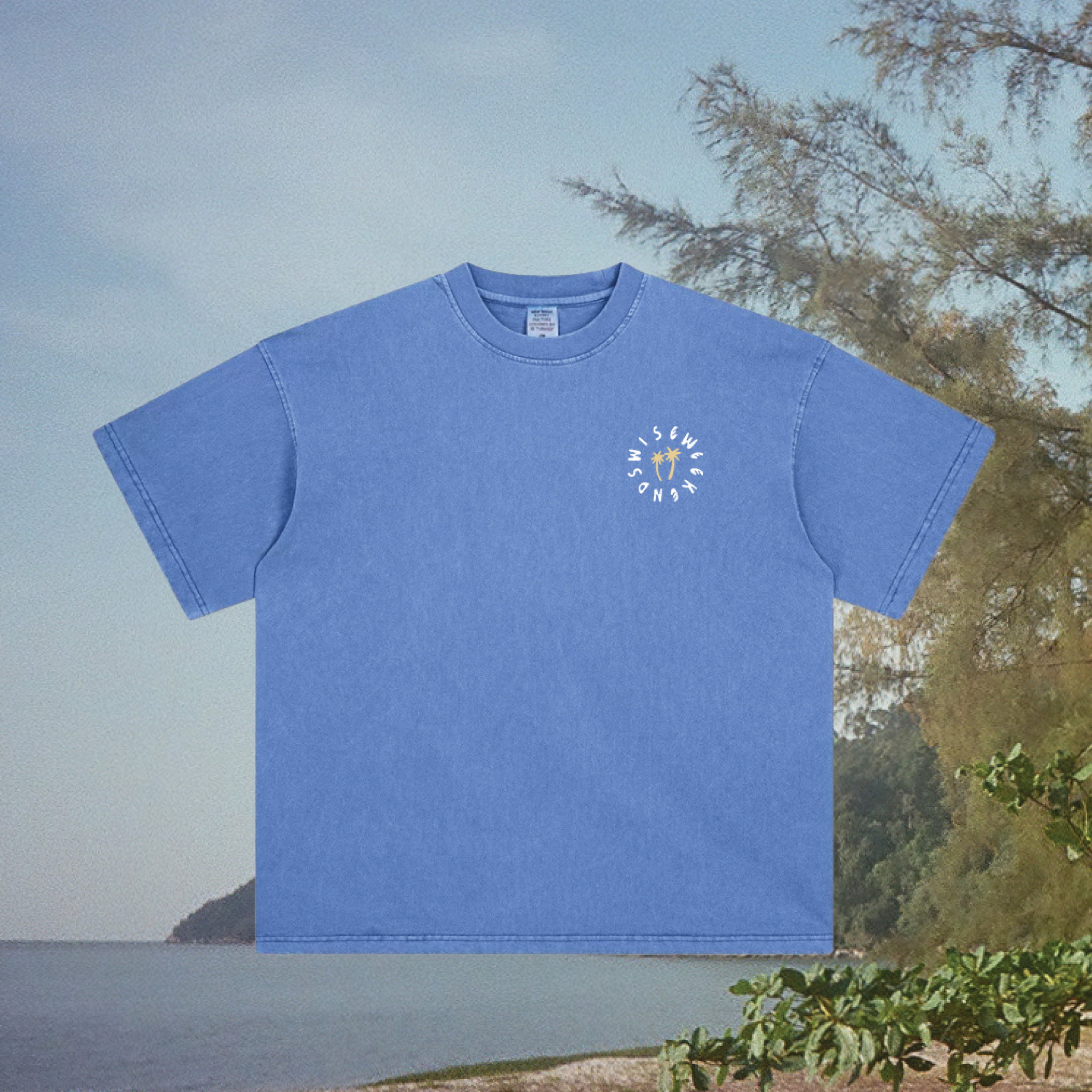 Blue Coral_2