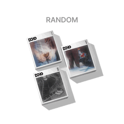 BTS - “Jin” Echo Random