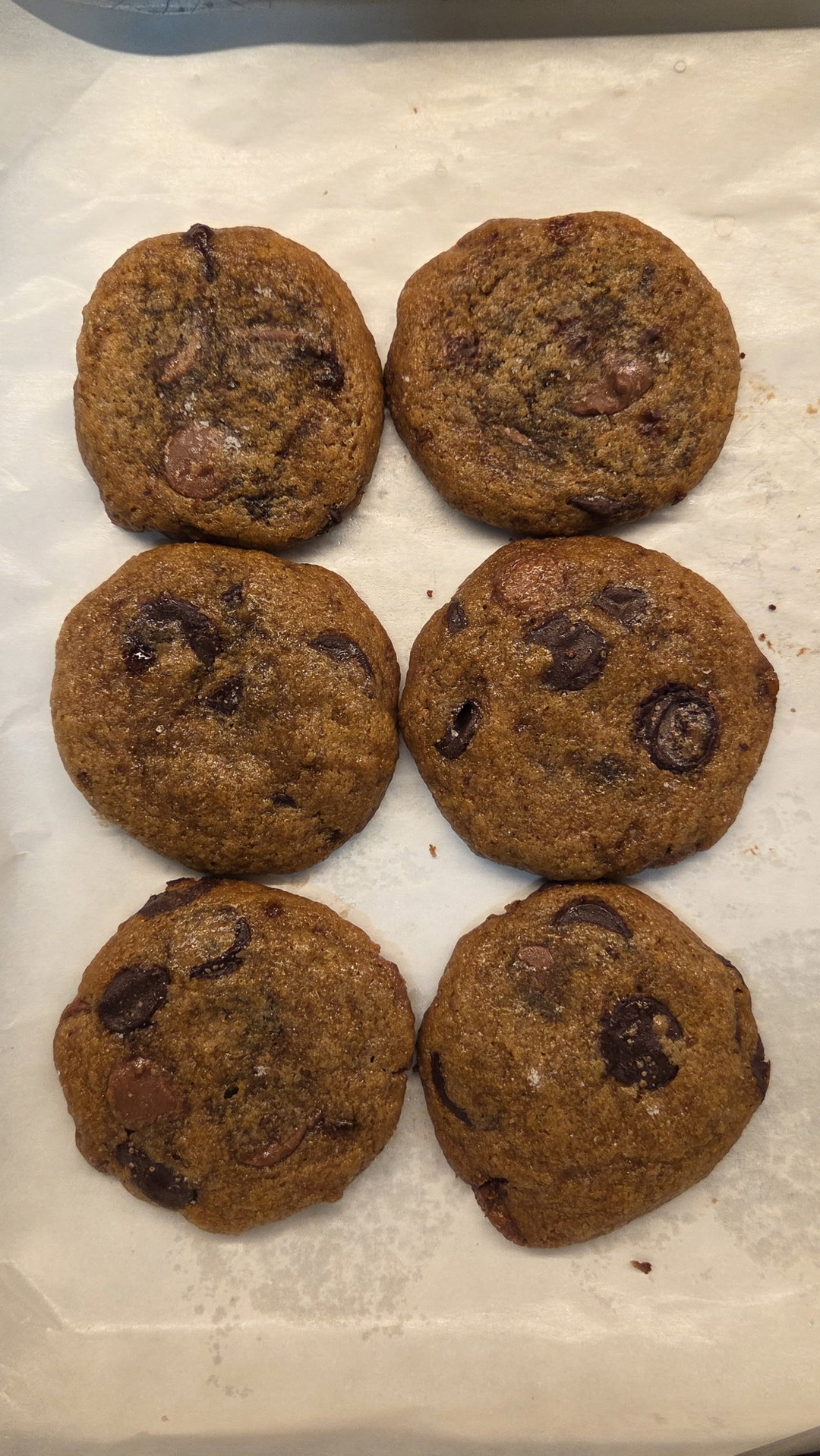 Chocolate Chip Cookies