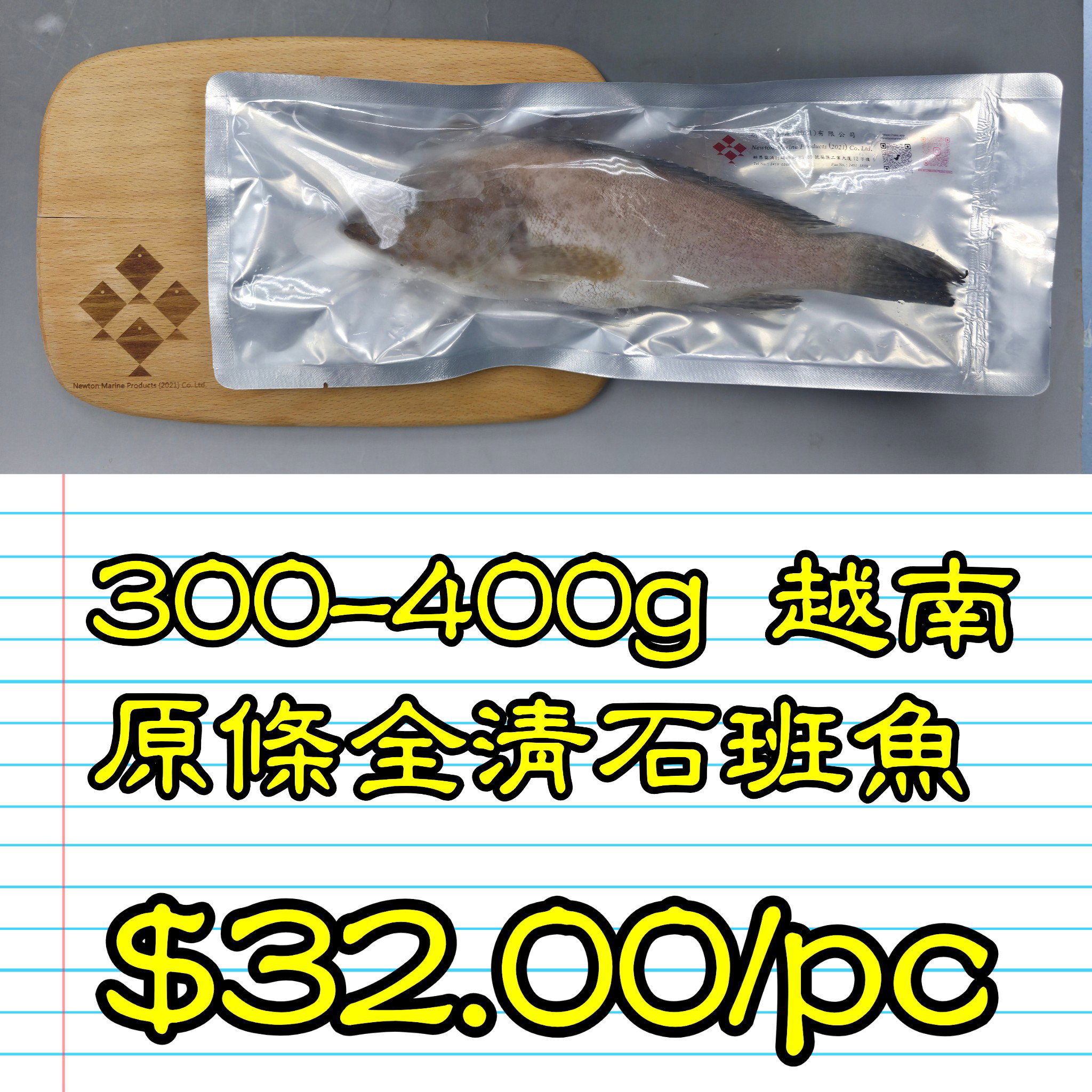 300-400g 越南原條全清石班魚_0