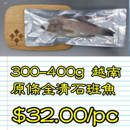 300-400g 越南原條全清石班魚