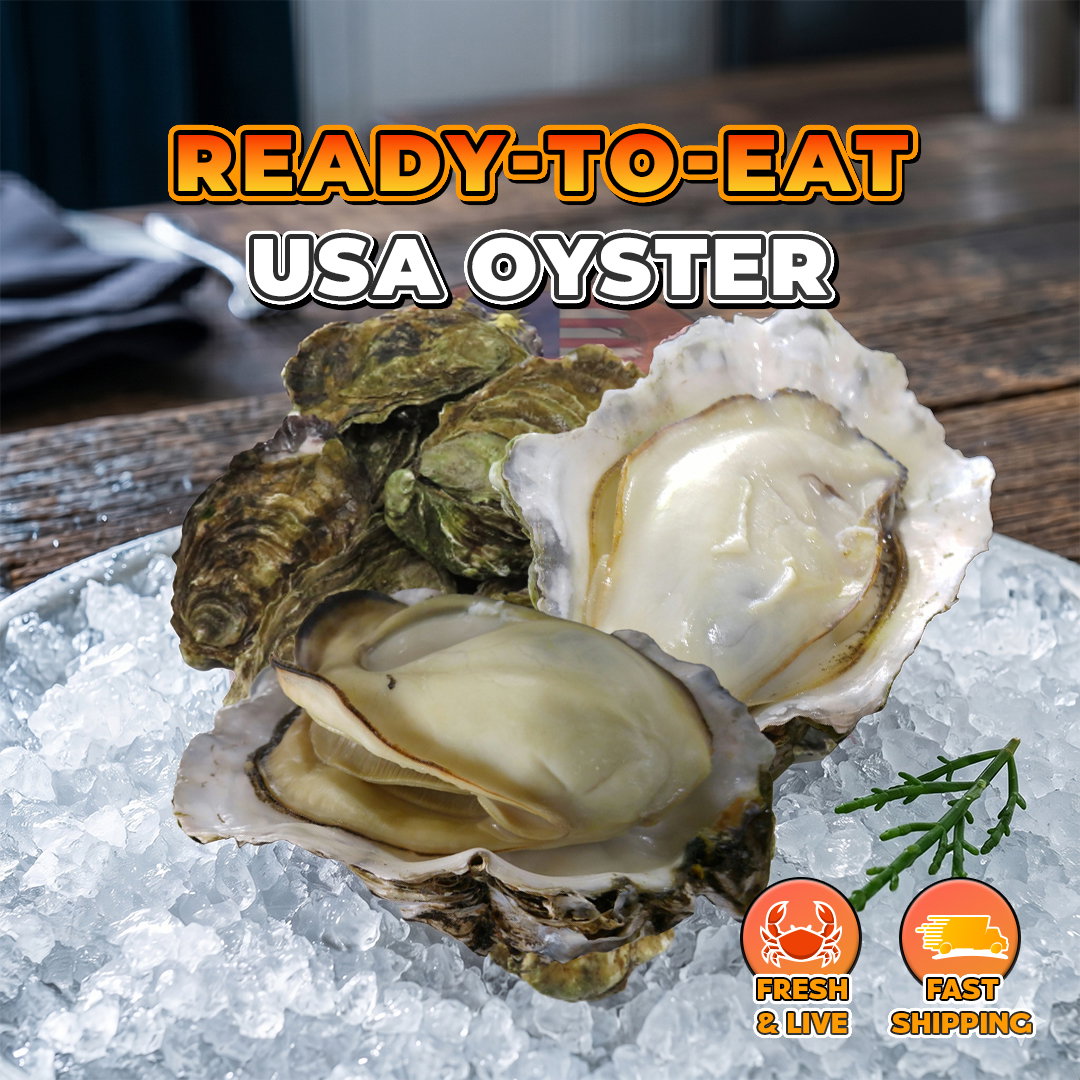 USA Oyster (1pcs)_0