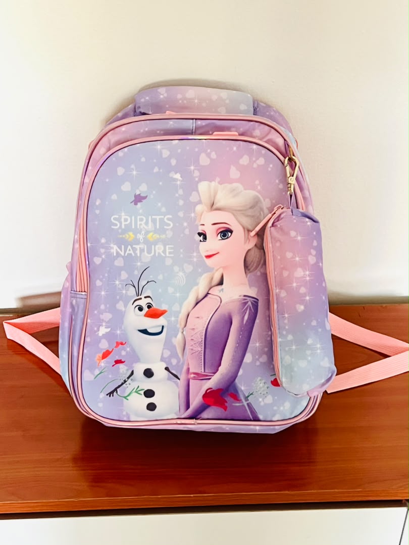 Frozen School Backpack_1