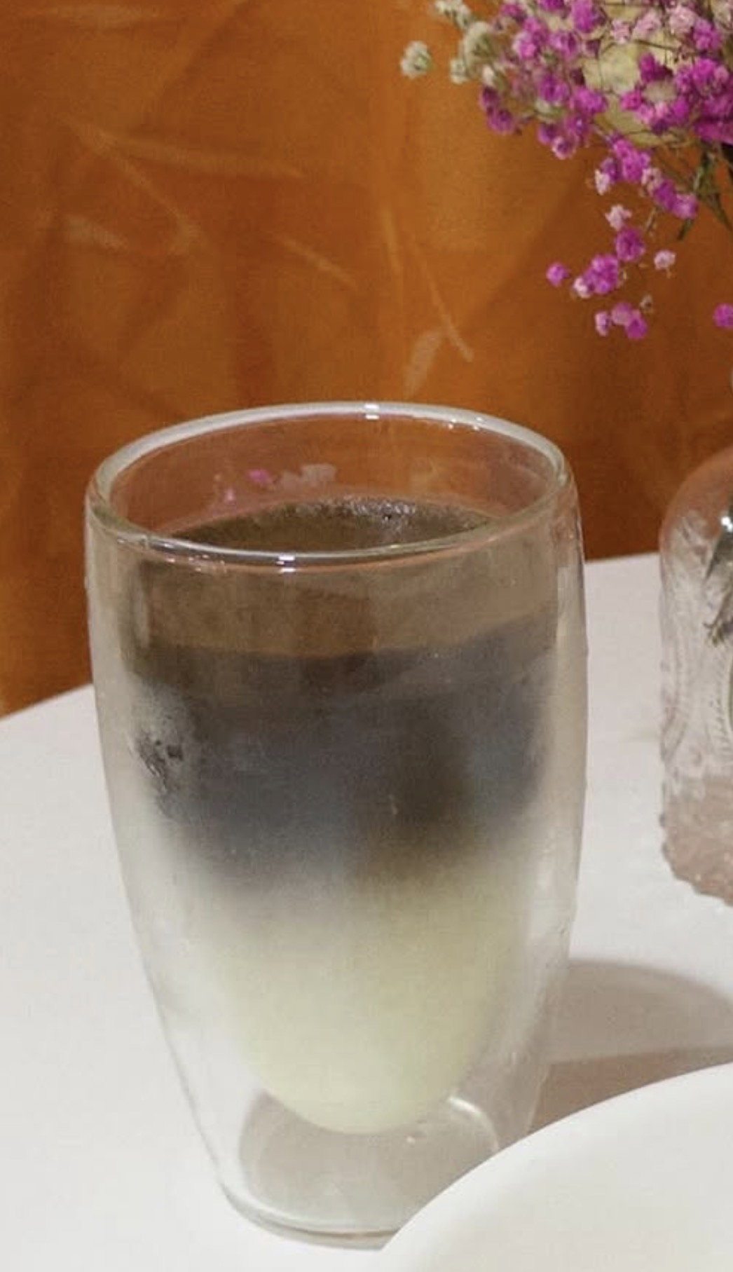 Iced Hojicha Latte