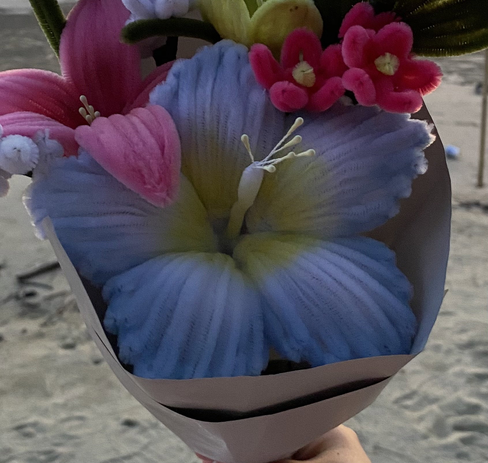 hibiscus