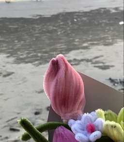 lily bud