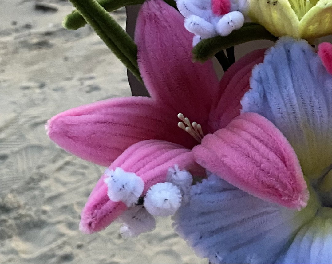 lily