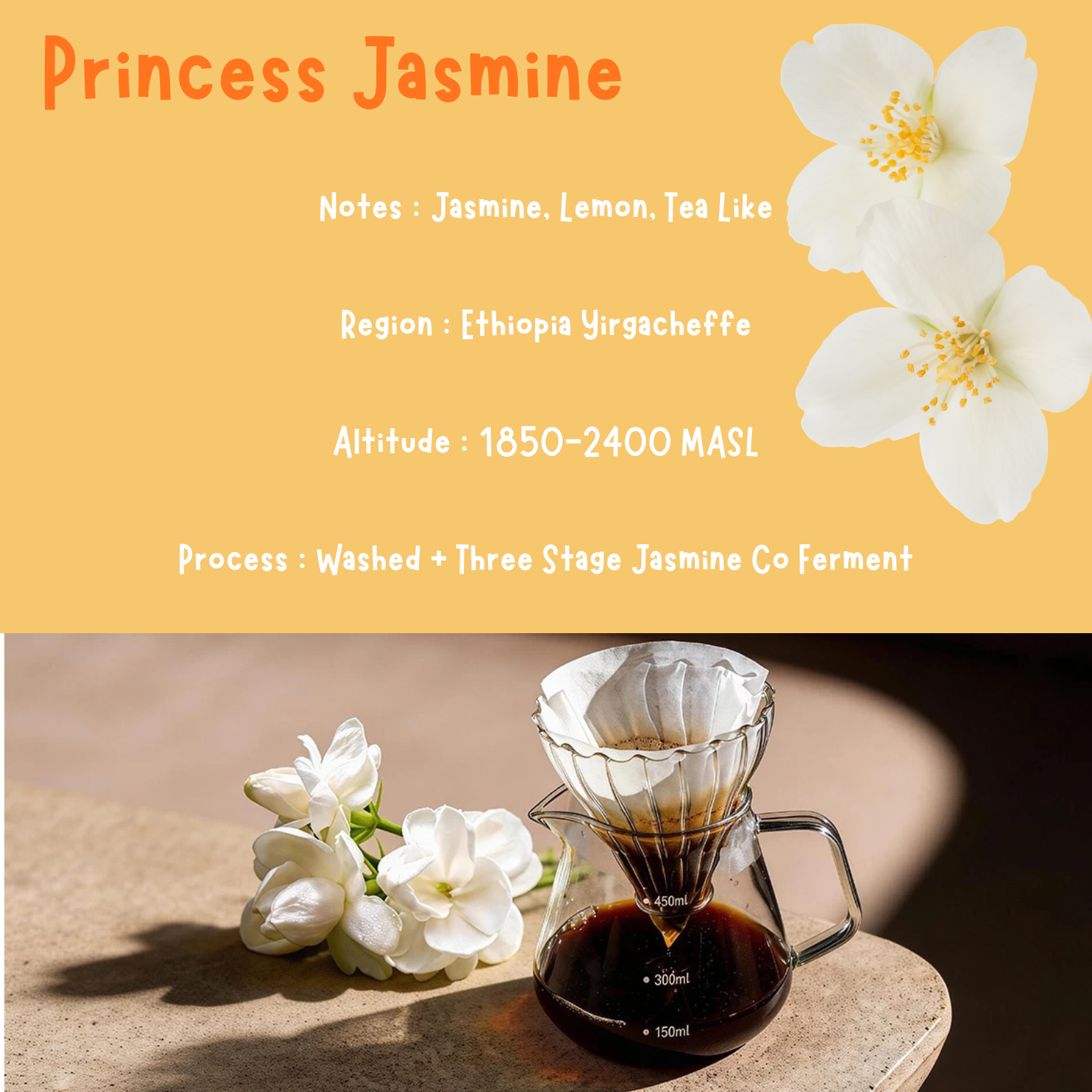 Xbloom Filter Coffee_5