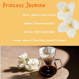Xbloom Filter Coffee
