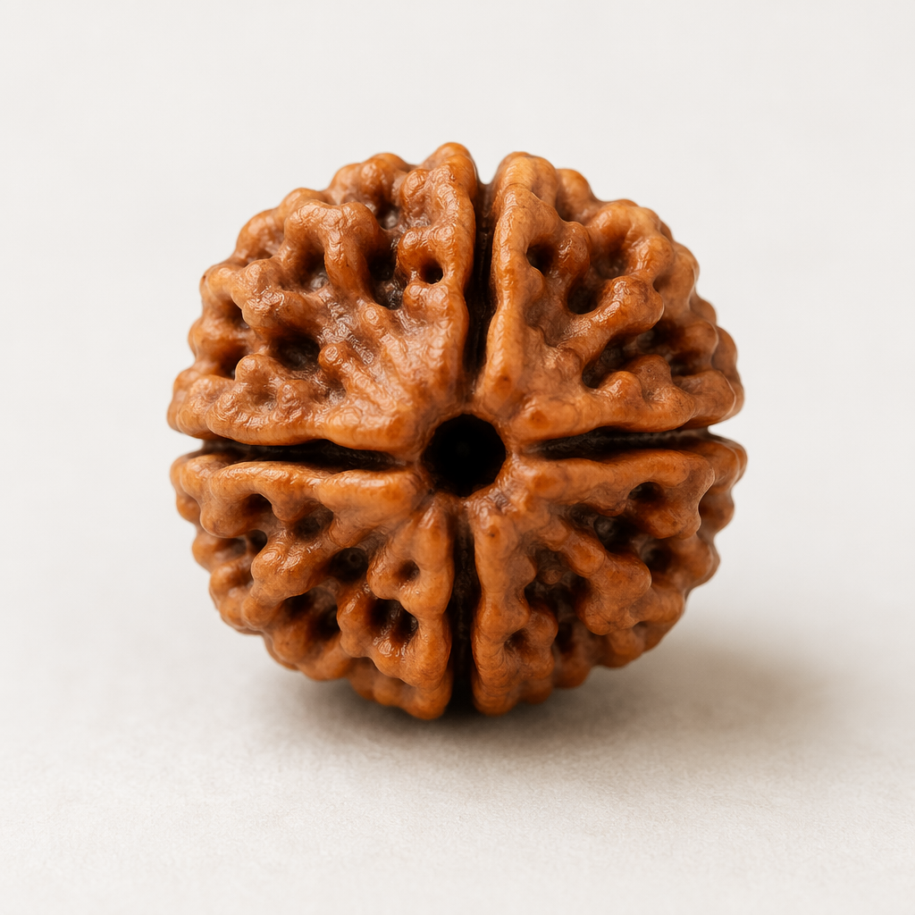 4 Mukhi Rudraksha