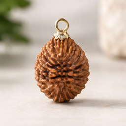 1 Mukhi Rudraksha