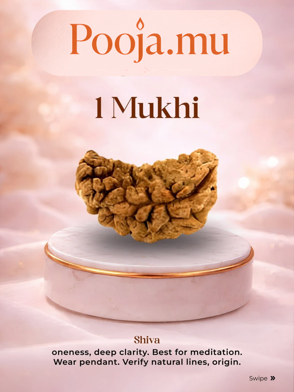 1 Mukhi Rudraksha_1