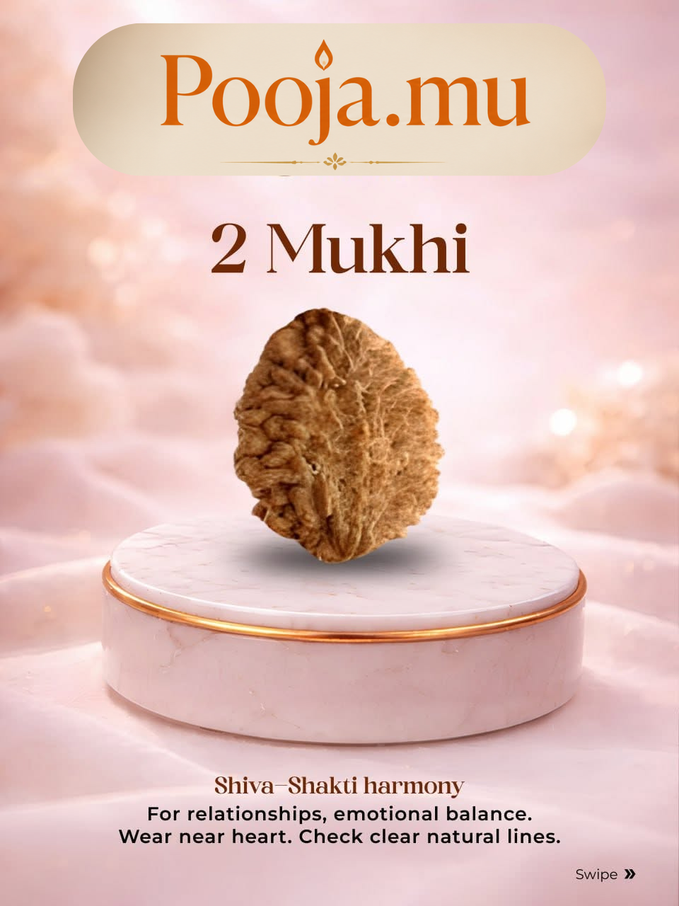 2 Mukhi Rudraksha