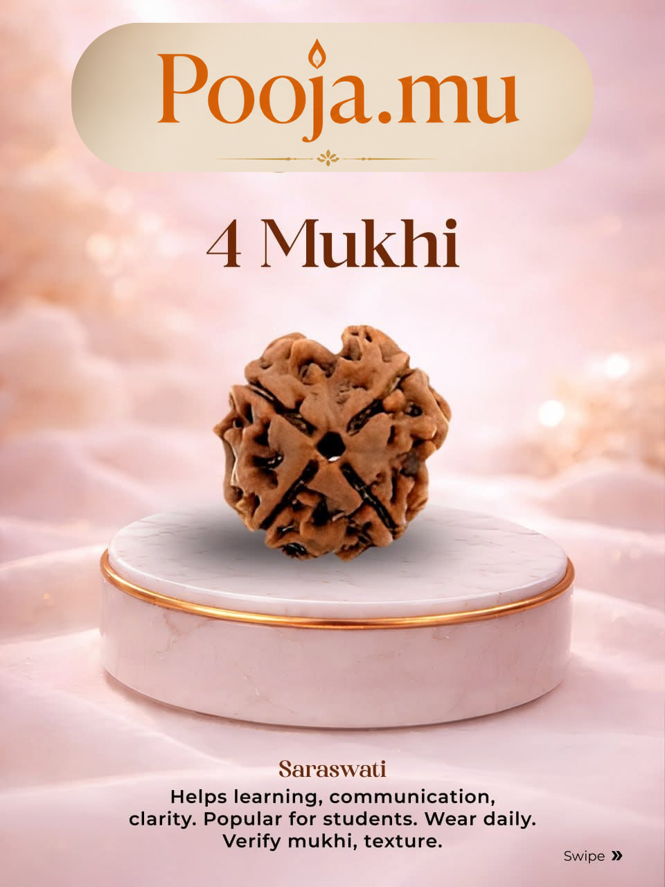 4 Mukhi Rudraksha_1