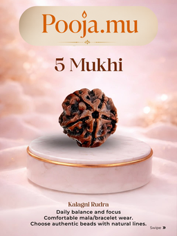 5 Mukhi Rudraksha