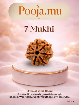 7 Mukhi Rudraksha