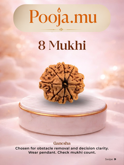 8 Mukhi Rudraksha