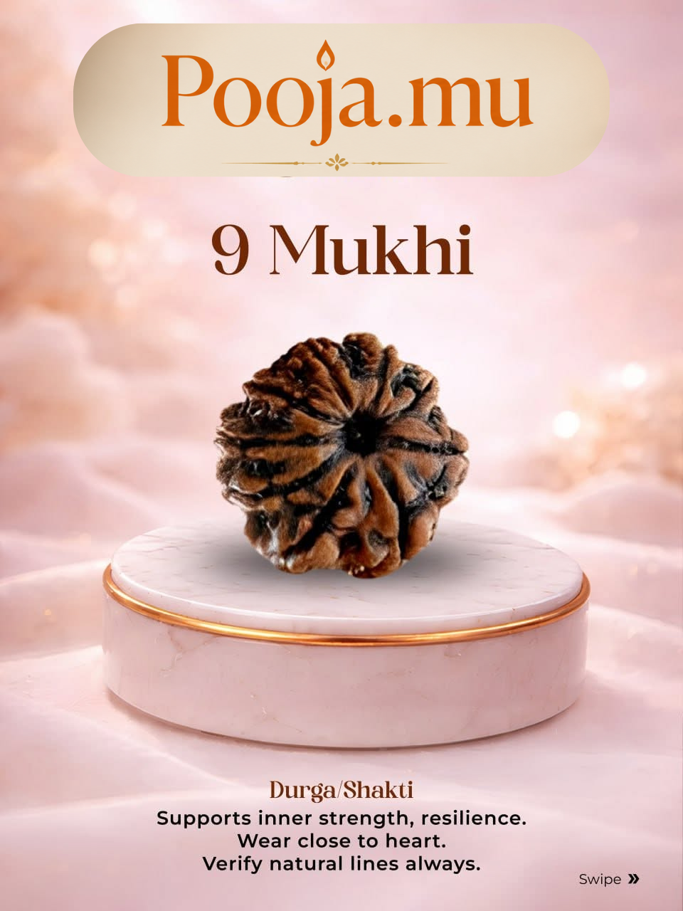 9 Mukhi Rudraksha_1