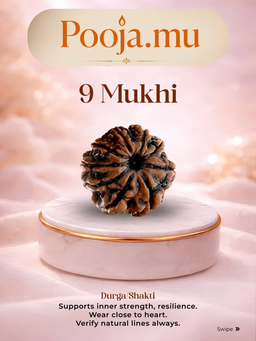 9 Mukhi Rudraksha