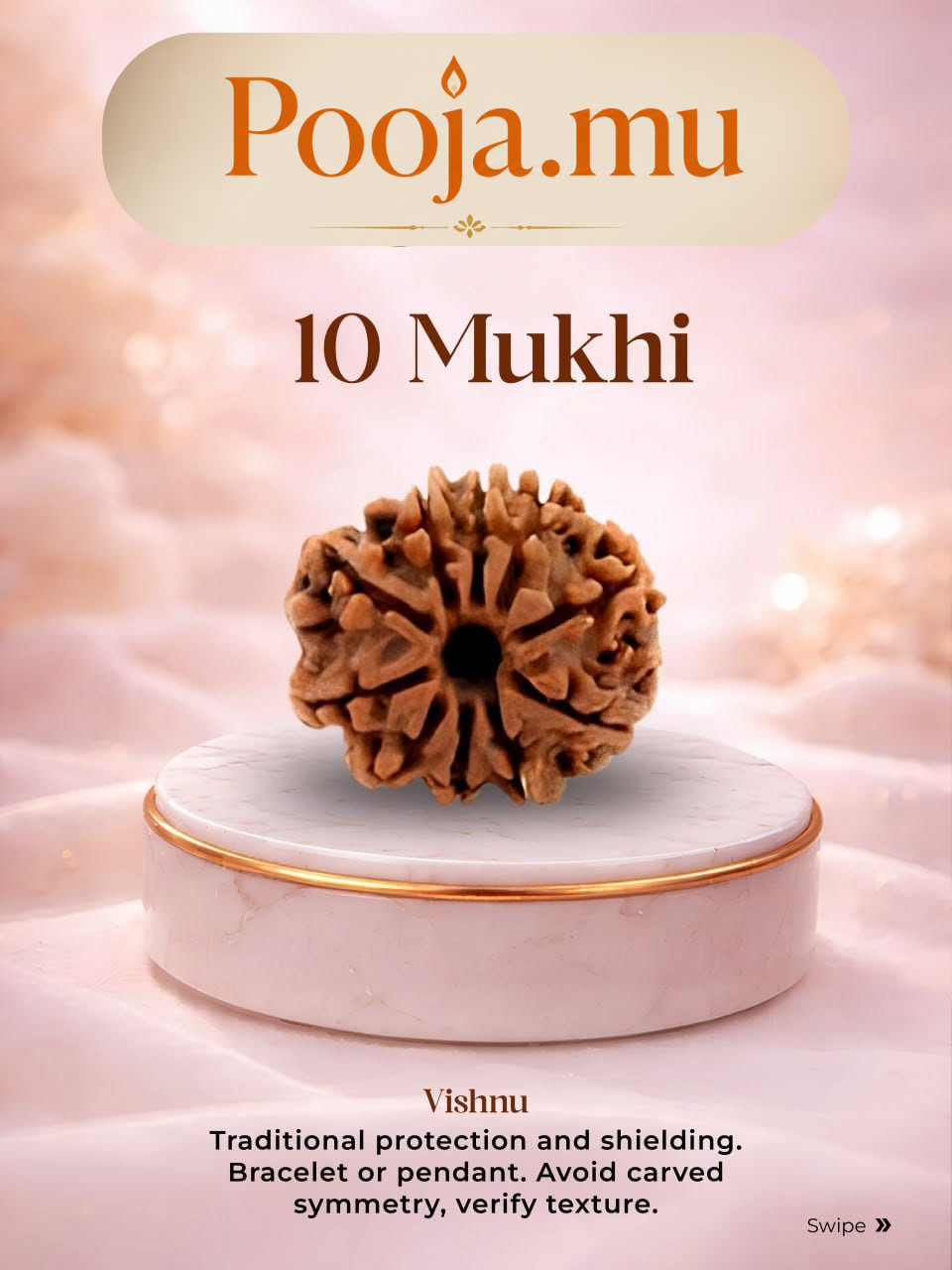 10 Mukhi Rudraksha_1