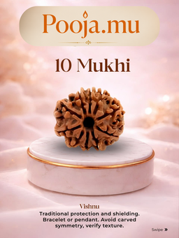 10 Mukhi Rudraksha