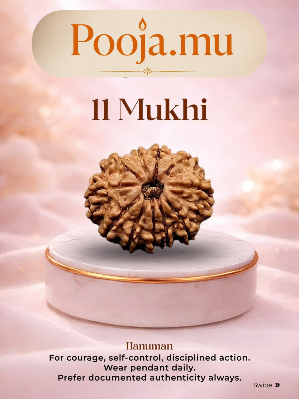 11 Mukhi Rudraksha_1