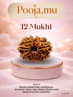 12 Mukhi Rudraksha
