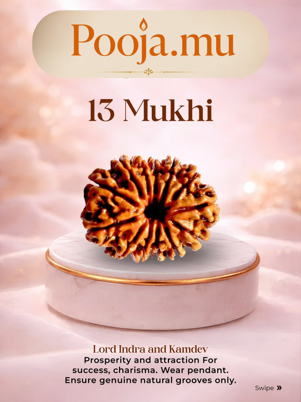 13 Mukhi Rudraksha_1