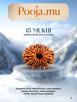 15 Mukhi Rudraksha