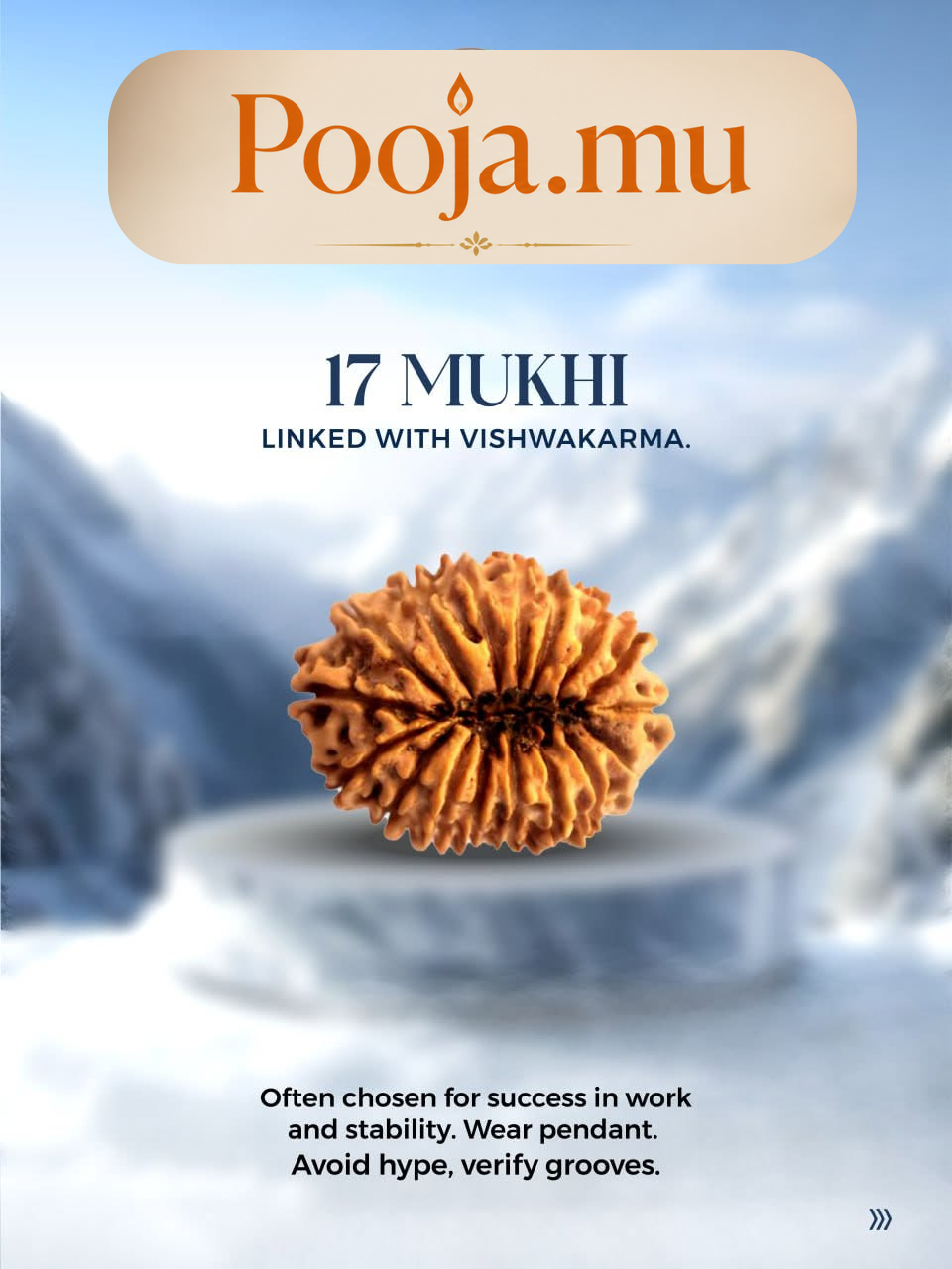 17 Mukhi Rudraksha
