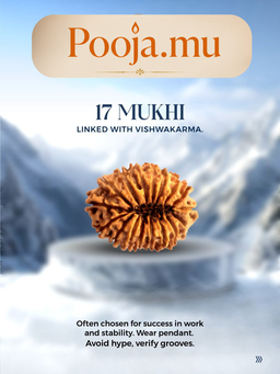 17 Mukhi Rudraksha