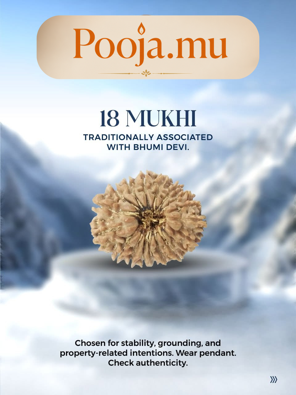 18 Mukhi Rudraksha_0