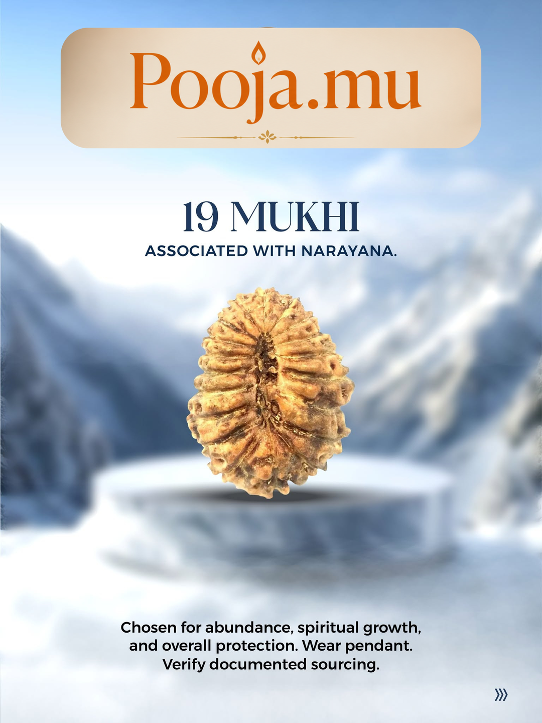 19 Mukhi Rudraksha