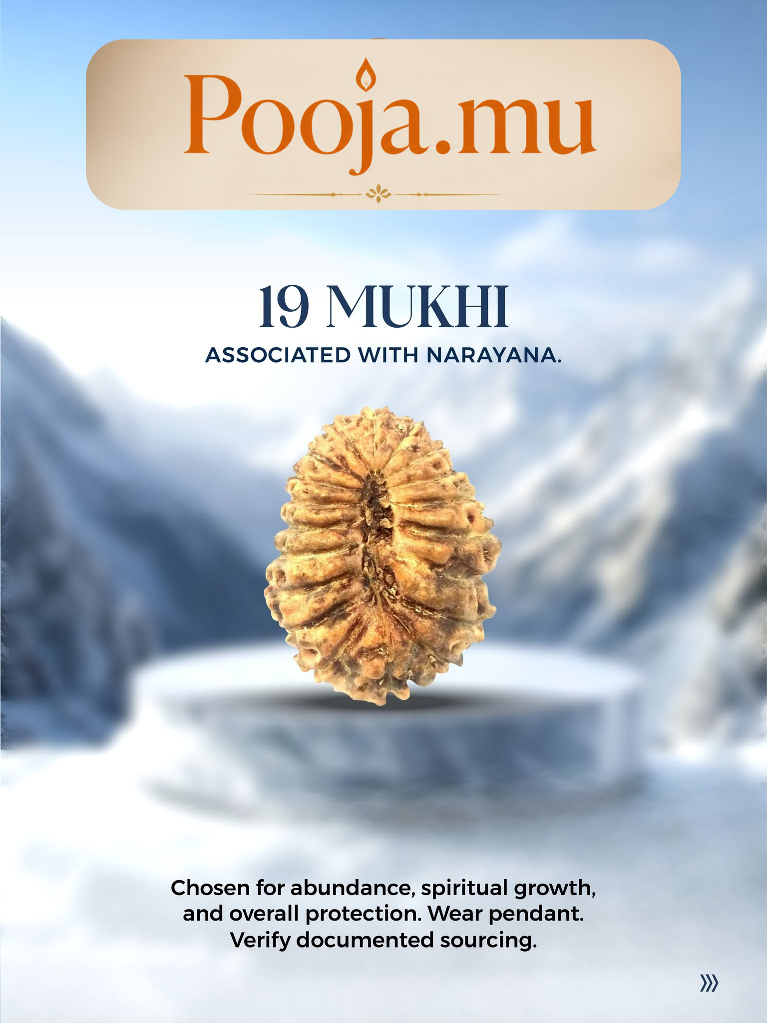 19 Mukhi Rudraksha_0