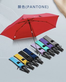 Auto Umbrella ~311g